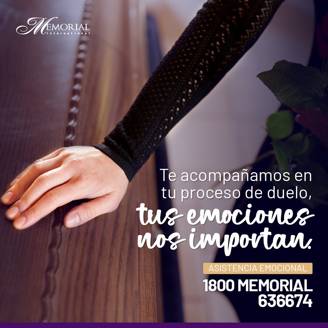 Contenido de Memorial sobre acompañamiento.