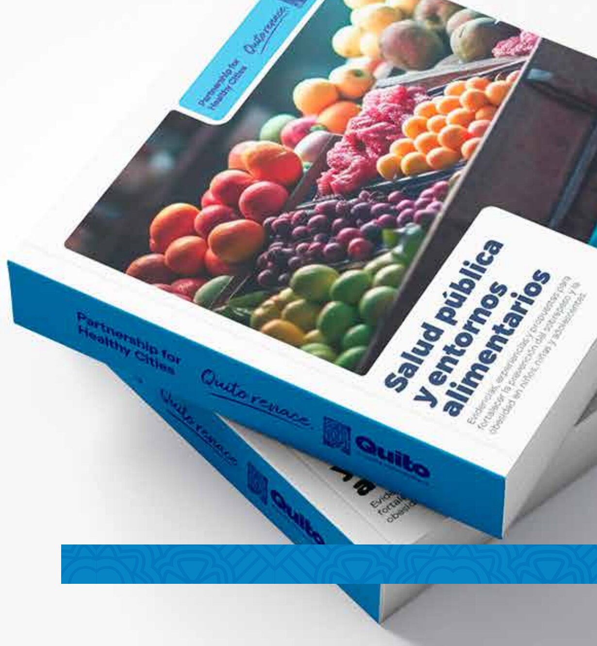 Mockup impreso de la publicación institucional 'Salud pública y entornos alimentarios'.